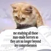 winkypedia
