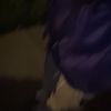 zeydobtrippinbro