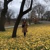 lauren.casey413
