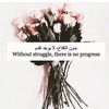 hafsa.k