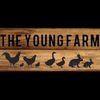 the_young_farm