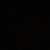 _adoree.nessa