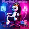 playboi.gaming