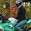 _cruisin_and_bruisin_