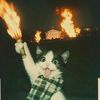 aaxcat