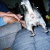 peyton_glugover