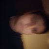 kevinobbed