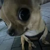 fffff._._