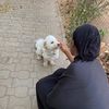 naimalemuofficial