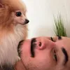 chanelspitzdog