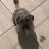 jessmdp0