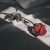 laraib4416