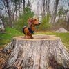 louiethenoodle