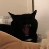 lisa_2409