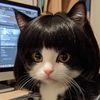 kkissocutek1