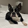jessie852312