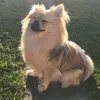 izzi1121