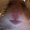 bonnielee243