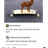 notannaalston