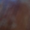 _bookmarked