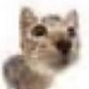 mewluvr