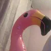 missdiorlyric