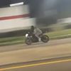 squiddygixxer