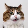 chatgpt4.4