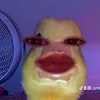 _omberli