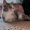 missy_keppler