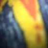 xaata6