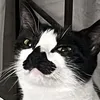 beans_beans_1