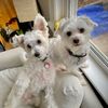 jacksonandfergus