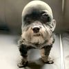 bobby_theplumber