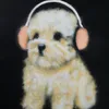childishchambino