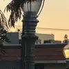 bella_arroyo7