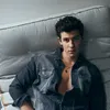 shxwnmendes_fxn