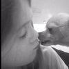maisythechihuahua