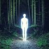 divinerealm