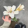 doniross_