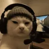 polkotilop