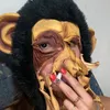 evixdoblea7