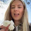 linaallerhed