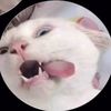 ihaveaphatcoochie66