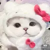 strwbrryandcoffee