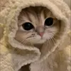 roseoliverospuert
