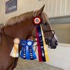 my.equine