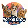 TheYorkiecrewbyjuice