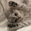 ewwhyareyouhere