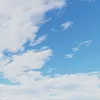 blu.bluedebez
